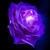 c_shih